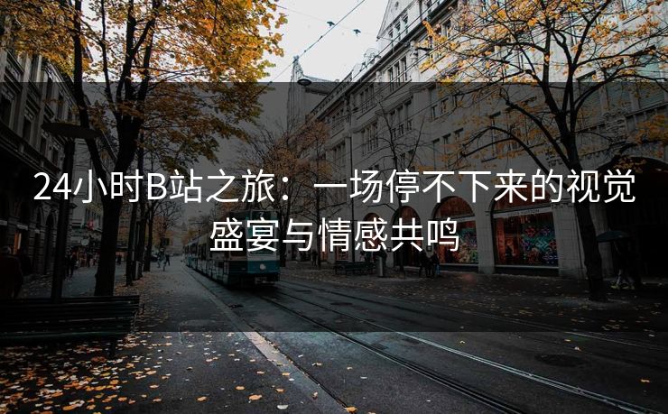 24小时B站之旅:一场停不下来的视觉盛宴与情感共鸣 24小时B站之旅:一场停不下来的视觉盛宴与情感共鸣