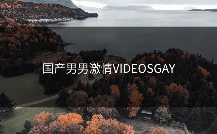 国产男男激情VIDEOSGAY