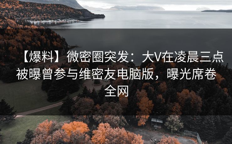 【爆料】微密圈突发：大V在凌晨三点被曝曾参与维密友电脑版，曝光席卷全网