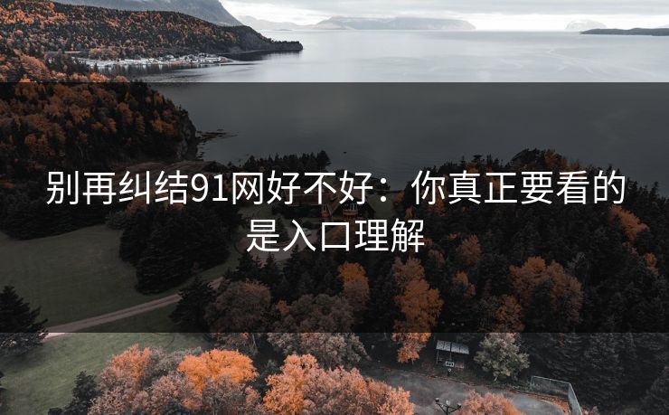 别再纠结91网好不好：你真正要看的是入口理解